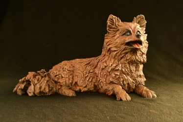 Pomeraniin - Life-sized