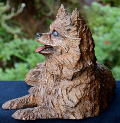 Pomeraniin - Life-sized