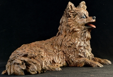 Pomeraniin - Life-sized