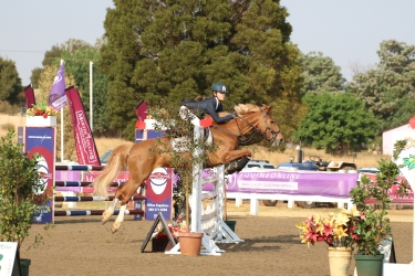 Show pony and Rider Jumping up
