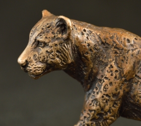 Leopard - Big 5 - small collection