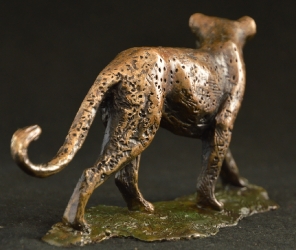 Leopard - Big 5 - small collection
