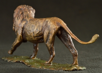 Lion - Big 5 - small collection