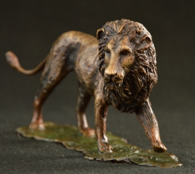Lion - Big 5 - small collection
