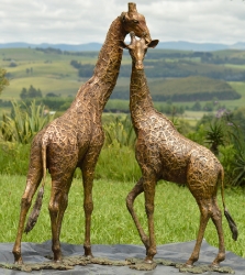 Bridget and melman - Giraffe