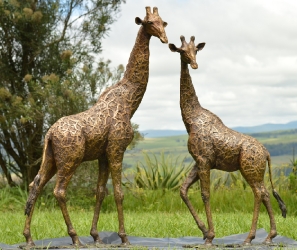 Bridget and melman - Giraffe