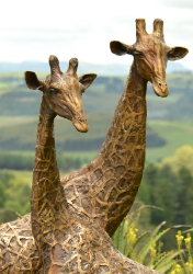 Bridget and melman - Giraffe