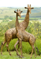Bridget and melman - Giraffe