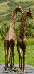 Bridget and melman - Giraffe