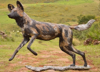 Bruce - Wild dog life-sized