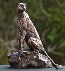 Cheetah sitting - maquette