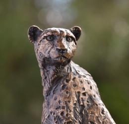 Cheetah Sitting  - Maquette