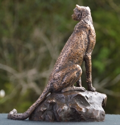 Cheetah Sitting  - Maquette