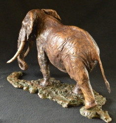 Elzuwini - Elephant Bull