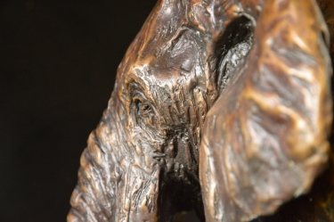 Elzuwini - Elephant Bull