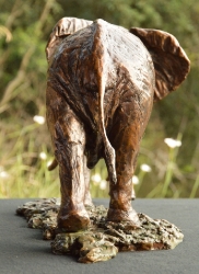 Elzuwini - Elephant Bull