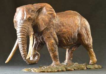 Elzuwini - Elephant Bull