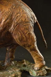Elzuwini - Elephant Bull