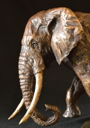 Elzuwini - Elephant Bull