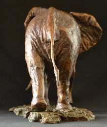 Elzuwini - Elephant Bull