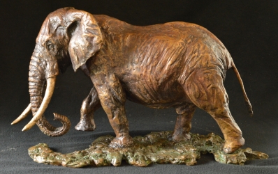 Elzuwini - Elephant Bull