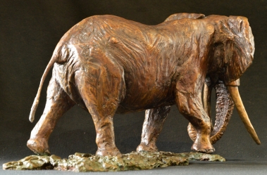 Elzuwini - Elephant Bull