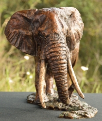 Elzuwini - Elephant Bull