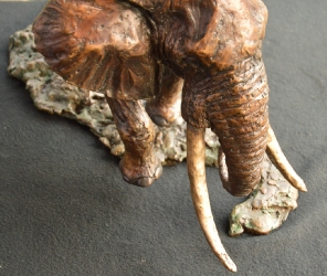Elzuwini - Elephant Bull