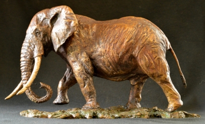 Elzuwini - Elephant Bull