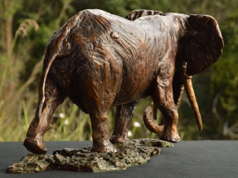Elzuwini - Elephant Bull