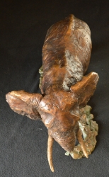 Elzuwini - Elephant Bull