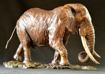 Elzuwini - Elephant Bull