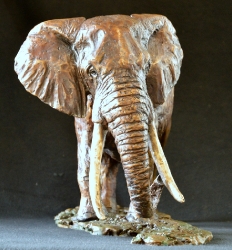Elzuwini - Elephant Bull