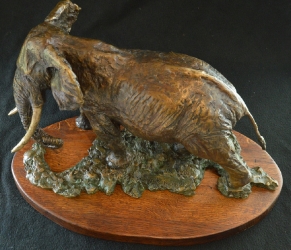 Elzuwini - Elephant Bull