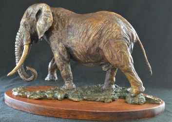 Elzuwini - Elephant Bull