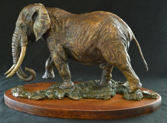 Elzuwini - Elephant Bull
