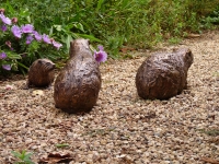 Family of Dassies