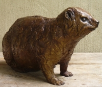 Sitting-up Dassie