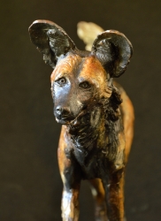 Famous Five - Wild dogs