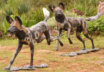Frith - Wild dog life-sized