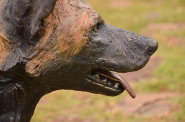 Frith - Wild dog life-sized