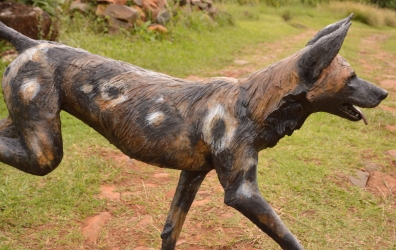 Frith - Wild dog life-sized
