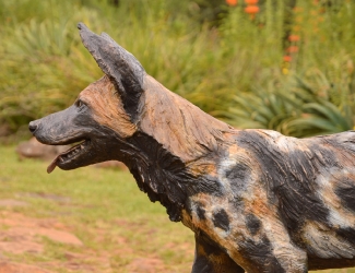 Frith - Wild dog life-sized