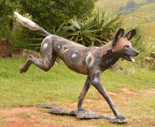 Frith - Wild dog life-sized