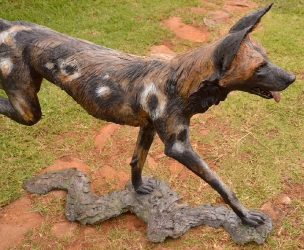 Frith - Wild dog life-sized