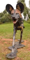 Frith - Wild dog life-sized