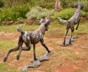 Frith - Wild dog life-sized
