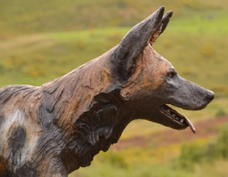 Frith - Wild dog life-sized