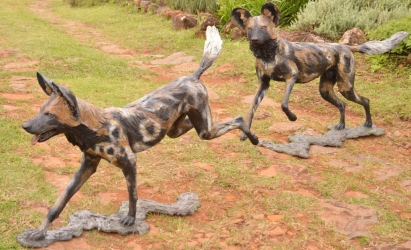 Frith - Wild dog life-sized