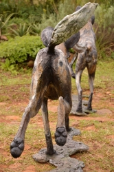 Frith - Wild dog life-sized